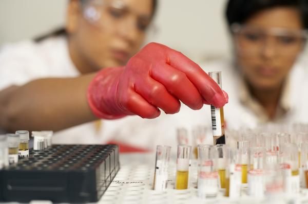 An epidemiologist analyzing blood and plasma samples Thinkstock Images/Comstock/Getty Images